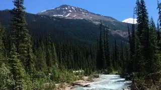 Some national parks to open June 1st with restrictions