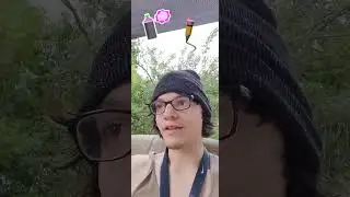 Some News (Spray Art and Animation)