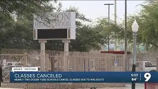 Some TUSD schools closed Friday due to protest walkout