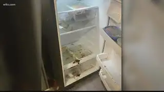 Some USC students asking why apartments weren