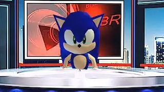 Sonic The News Reporterhog