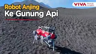 Sophisticated! Robot Dog Sniffs Volcanic Gas on Mount Etna