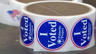 South Carolina NAACP, disabled voters challenge restrictions