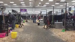 South Dakota House passes bill banning lab-grown meat