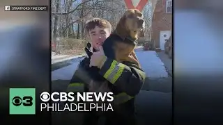 South Jersey firefighters rescue dog trapped in storm drain
