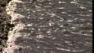 SOUTHEND : Pollution