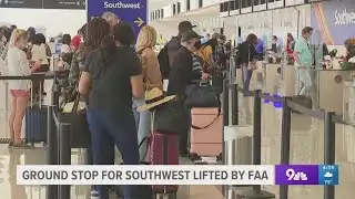 Southwest flights temporarily grounded due to tech issues