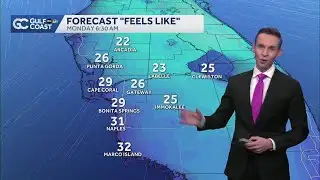 Southwest Florida sees snow flurries after arctic blast