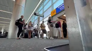 Southwest flyers react to the company ditching 