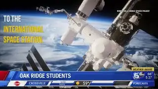 SpaceX launches tiny critters, solar panels to space station