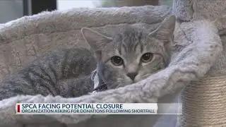 SPCA of East Texas needs donations to stay open after shortfall