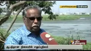 Special report: Call to save drying Pallikaranai wetland