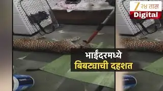 Special Report | Mira Bhayandar Leopard | मिरा भाईंदरमधल्या इमारतीत बिबट्याचा धुमाकुळ