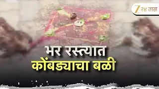 Special Report On Beed | कोंबड्याला मारून अघोरी कृत्य;दीपक देशमुखांवर परळीत गुन्हा दाखल | Zee24Taas