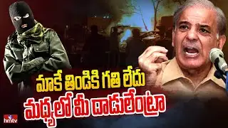 పాకిస్తాన్ కు షాకిచ్చిన తాలిబన్ | Special Story on Pakistan Taliban Issue | hmtv