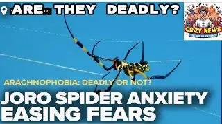 Spider Invasion #news
