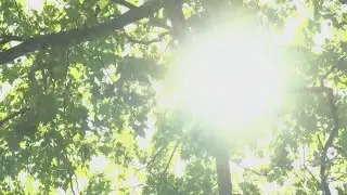 Spokane cooling shelters not open despite heat wave