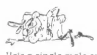 SpongeBoy Ahoy! Intro Recording (pratically found)