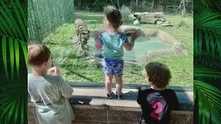Sponsored Content: Create Memories at the Dickerson Park Zoo