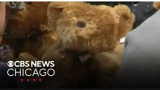 Spreading kindness with teddy bears