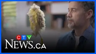 Spring cleaning made more efficient and stress-free