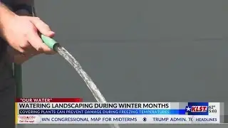 Spring-like weather doesn