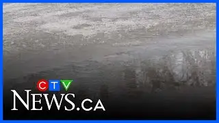 Spring-like weather settles over southern Saskatchewan