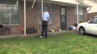 Spring time pest control