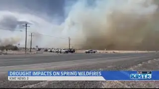 Spring wildfires