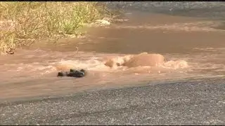 Springfield water main break