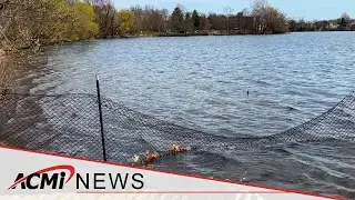 Springtime Has Arrived in Arlington!