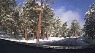 Springtime snow falls in central Colorado