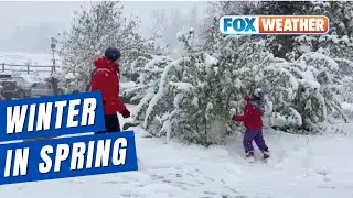 Springtime Snow Falls In Colorado, Rockies