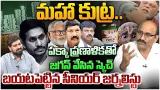 జగన్ స్కెచ్ బయటపెట్టిన జర్నలిస్ట్😱 Sr Journalist D Srinivas Revealed Jagan Master Plan | Chandrababu