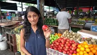 Sri Lanka Crisis | A Paradise Lost? | BBC NEWS DOCUMENTARY