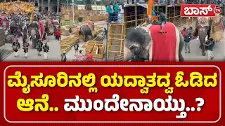 ಜನರ ಕೂಗಾಟ ಕೇಳಿ ಗಾಬರಿಗೊಂಡ ದಸರಾ ಆನೆ | Srikanta Elephant video | Mysuru Dasara 2025 | BossTv