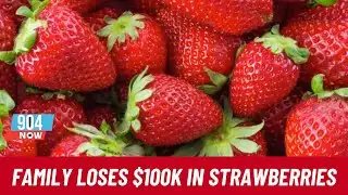 St. Augustine Farming Family Faces $100K Strawberry Loss | STOITM | February 3, 2026