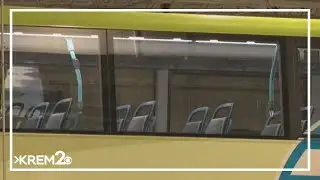 STA pulls double-decker buses as crash investigation continues