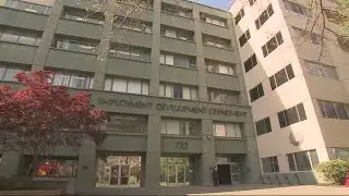 Staggering Job Losses Reported as Silicon Valley Leaders Plan Economic Restart