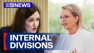 Staggering job needed for Coalition to stay in power | 9 News Australia