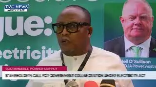 Stakeholders Call For Government Collaboration Under Electricity Act