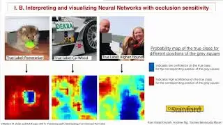 Stanford CS230: Deep Learning | Autumn 2018 | Lecture 7 - Interpretability of Neural Network