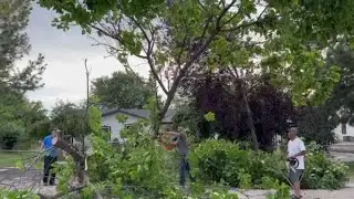 Star neighbors band together to clear downed trees