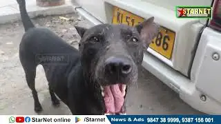 StarNet Online News 03 02 2026 mpg