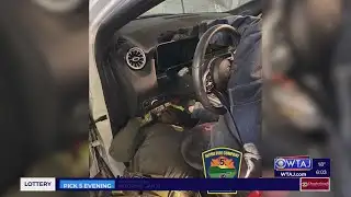 State College cat safely rescued from vehicle dashboard | WTAJ