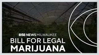 State Democrats announce new marijuana legalization proposal