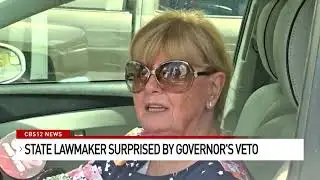 State lawmaker surprised by Gov. DeSantis