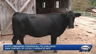 State lawmakers consider bill to challenge USDA control of locally produced beef