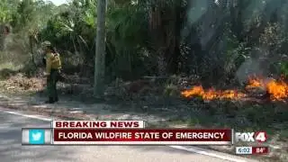 State of Emergency declared in Florida due to wildfires