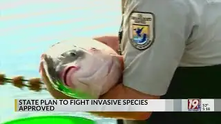 State Plan to Fight Invasive Fish Species Approved